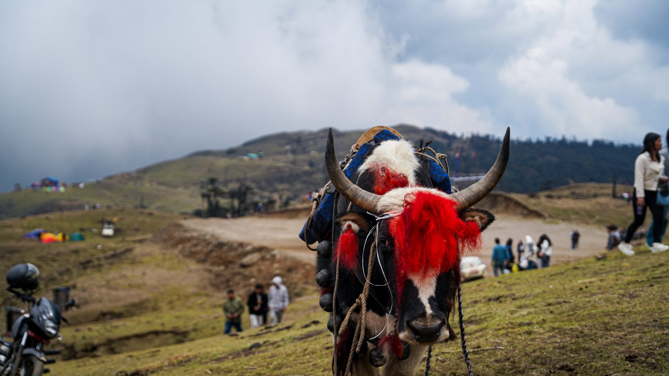 ९औँ फालेलुङ चौरी पर्यटन महोत्सव २०८३ आयोजना हुँने