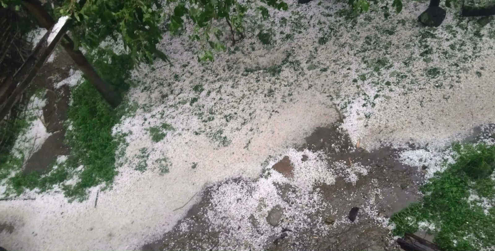 असिनापानीले फिदिम–१२ मा आलु खेतीमा गम्भीर क्षति, घरहरूमा समेत असर